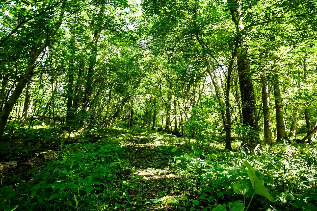 فندق أوتاوافي  Strathmere المظهر الخارجي الصورة
